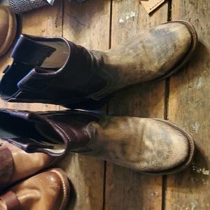 Freebird by Steven boits